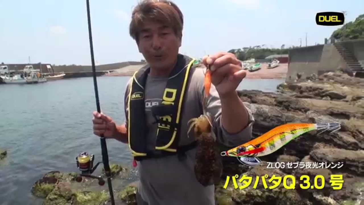 初夏のアオリイカin静岡県伊豆半島 波動のパタパタシリーズ 渋さ知らずエギング 釣具の総合メーカー デュエル