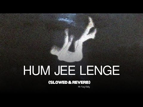 Hum Jee Lenge | Mustafa Zahid | Slowed & Reverbed | Mir Fazly Rabby