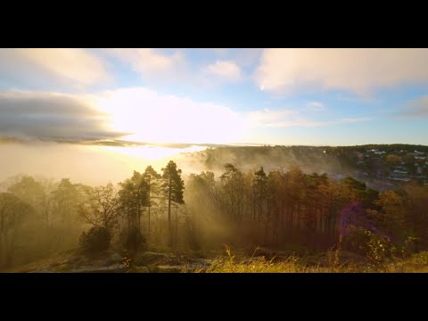 Sunrise on a misty autumn morning🍂