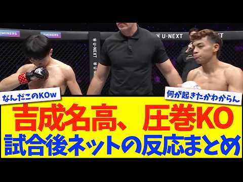 【衝撃KO】吉成名高、バックブローへのカウンターハイキックでマスドールに2ラウンドKO勝ち！【格闘技反応】【ネットの反応】