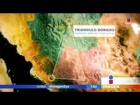 Así es el Triángulo Dorado del narco