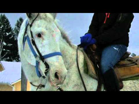 The Story of Blue Boy