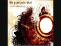 Pineapple Thief - The Sorry State 