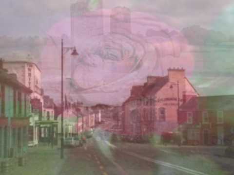 Brendan Shine - Rose of Castlerea