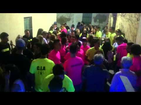 Fiestas Madroñera 2015