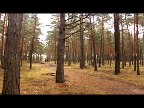 Reiterhof Groß Briesen Galopp Ausritt