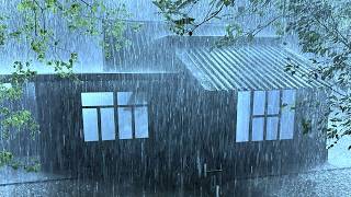 Fall Asleep Immediately Within 3 Minutes with the Howling Rain & Thunder on Small Tin Roof at Night