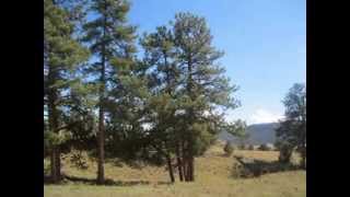 preview picture of video 'South T Bar Ranch Lot #82 Canon City CO'