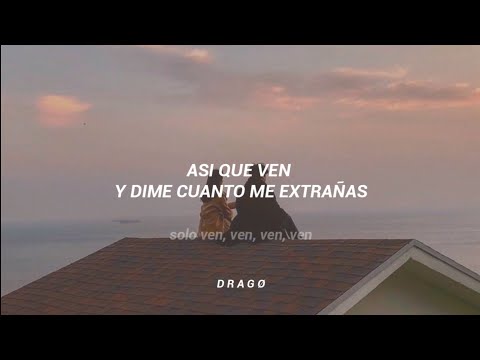 Alacranes Musical - Por Tu Amor (Duranguense) [Letra]