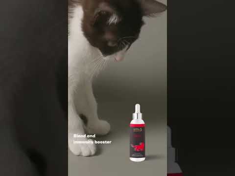 The Ultimate Cat Supplements for a Healthy, Happy Kitty | Venttura Petraceuticals