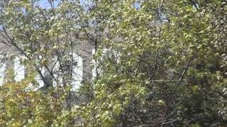 Hollywood Sign Part 7