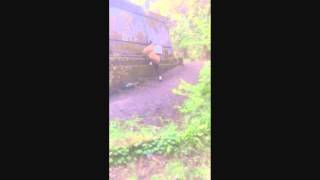 Breakfast MUFF - Friend