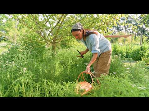 Dejé la ciudad | mi vida en el campo