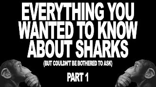 Everything You Wanted To Know About Sharks (But Couldn’t Be Bothered To Ask) Part 1