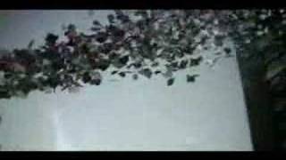 Peor es nada || Tal Vez