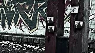 ☆ Bushido feat. Capital Bra - Nie Wieder || REAL TALK 84 ☆