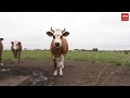 Drenthe Nu 12 oktober 2019