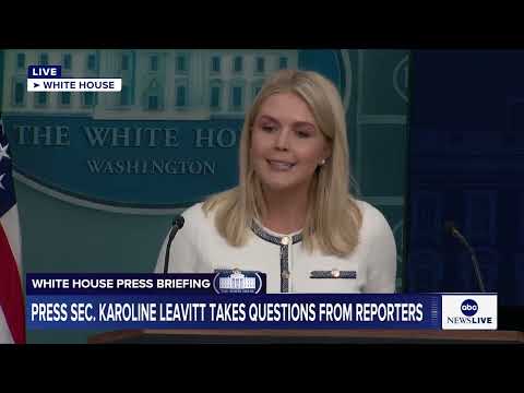 President Trump would not recommend special prosecutor to Epstein case, Leavitt says