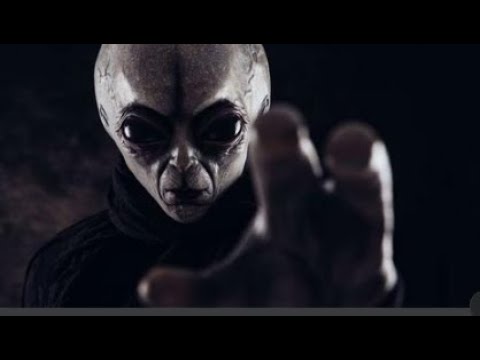 ÖMER AKDAŞ PRESENTE    ▶️🎶 ▶️🎶 REZarin feat  Jordan Rys   Like 2 Go new video