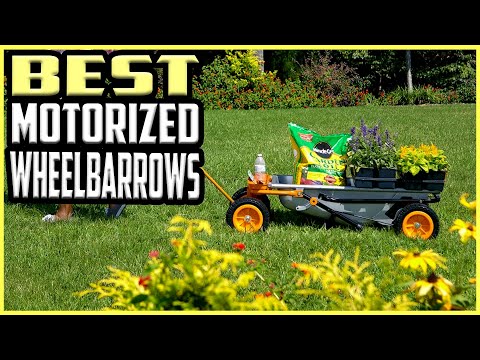 Top 5 Best Motorized wheelbarrows in 2022 reviews