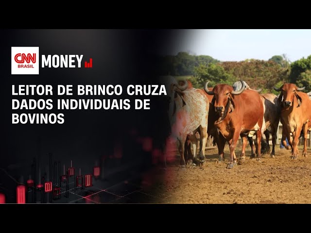Leitor de brinco cruza dados individuais de bovinos | CNN AGRO NEWS