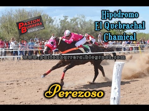 PEREZOSO, El Quebrachal - Chamical (15-12-19)