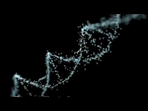 IV დასი (Vache OG) ft Zerro - გენი