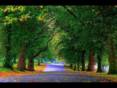 Cuando vivimos conforme al plan de Dios