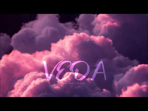 Lego & Raplus Millery & Orkos - VEDA