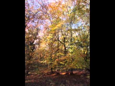 Falling - Kate Rusby