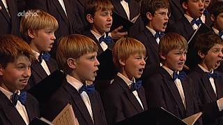 Windsbacher Knabenchor (K.-F. Beringer) |