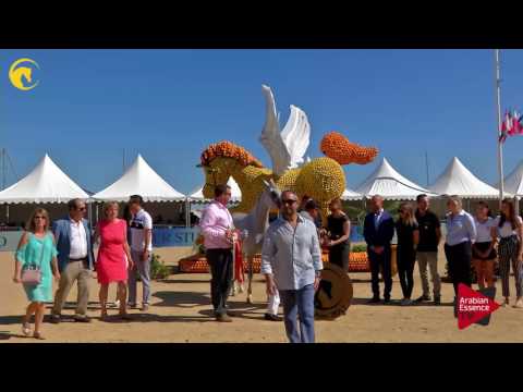 3 rd place,  N.58 GALERIDA - MENTON 2017 - Senior Female Championship (Class 13)