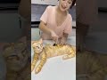 Cat Cake