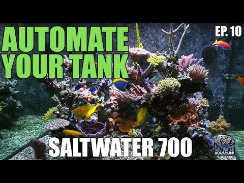 AUTOMATING Your Saltwater Aquarium With Ease - Saltwater 700