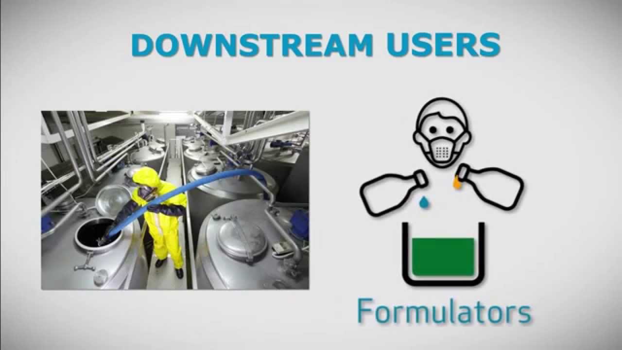 Who is a downstream user under REACH and CLP?