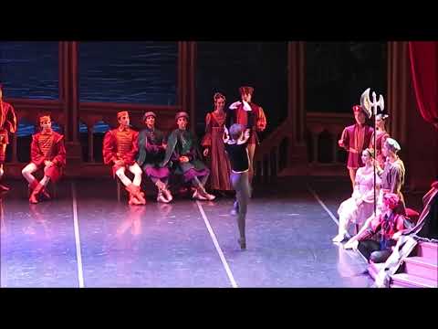 Ciro Tamayo - Variación Sigfrido Act. II El Lago de los Cisnes