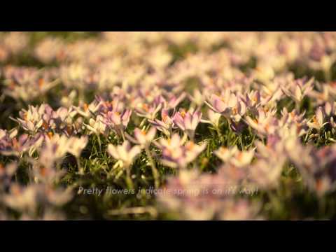 A Bicycle Tour of Our Favorite Bike Trails in Munich Germany - CC Sight Travel Tips