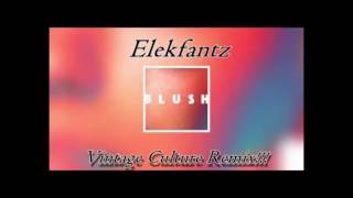 Elekfantz -  Blush (Vintage Culture Remix)