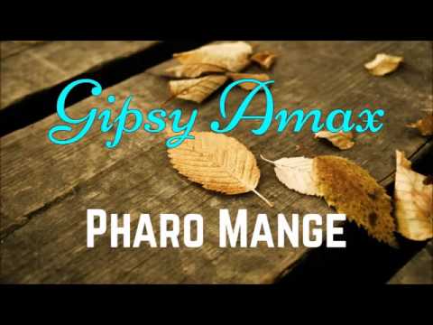 Gipsy Amax   Pharo Mange