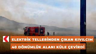 Elektrik tellerinden çıkan kıvılcım 40 dönümlük alanı küle çevirdi