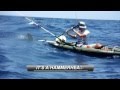 Hammerhead Shark Attacks Kayak Fisherman ...