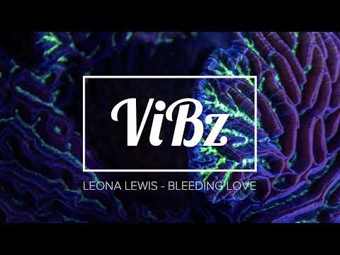 ViBz x LEONA LEWIS - Bleeding Love (ZOUK MASHUP VERSION)
