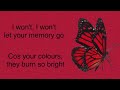 The Wanted - Gold Forever (Lyrics)