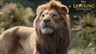 The Lion King Film Trailer