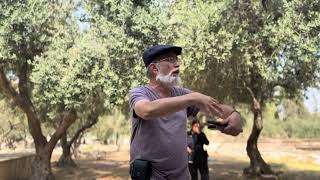 ט״ו אב • יום בניין המקדש | ר׳ יעקב פרידלנד (ישיבת הר הבית) - התמונה מוצגת ישירות מתוך אתר האינטרנט יוטיוב. זכויות היוצרים בתמונה שייכות ליוצרה. קישור קרדיט למקור התוכן נמצא בתוך דף הסרטון