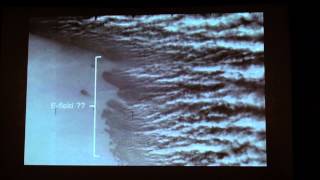 TOM WILSON: Believing is Not Seeing | EU 2013