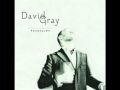 old father time - david gray