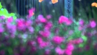 EVERY ROSE HAS ITS- KIDz BOB KIDS