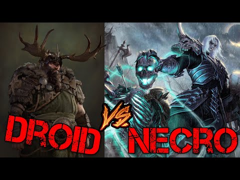 Diablo 2 DUEL of the AGES - GODLY NECRO vs GODLY DRUID!!