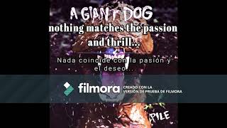 A Giant Dog - I&#39;ll come crashing (Lyric// sub.)